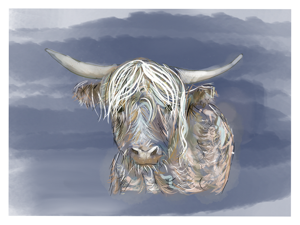  Cow blue